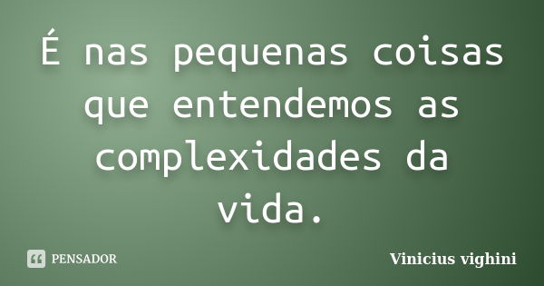 É nas pequenas coisas que entendemos as complexidades da vida.... Frase de Vinicius Vighini.