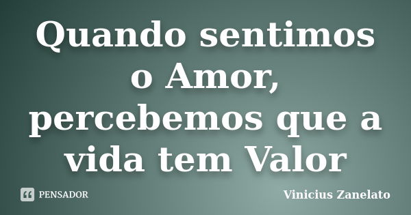 Quando sentimos o Amor, percebemos que a vida tem Valor... Frase de Vinicius Zanelato.