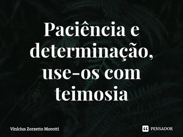 ⁠Paciência e determinação, use-os com teimosia... Frase de Vinícius Zorzetto Morotti.