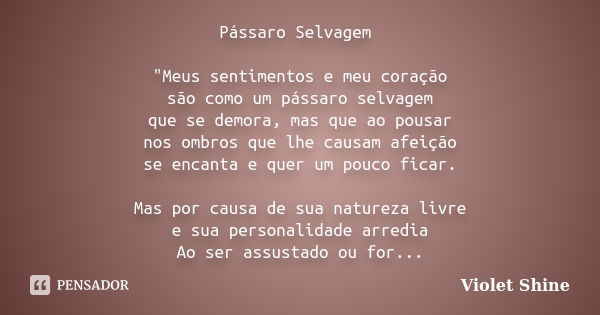 Pássaro Selvagem "Meus sentimentos e meu coração são como um pássaro selvagem que se demora, mas que ao pousar nos ombros que lhe causam afeição se encanta... Frase de Violet Shine.