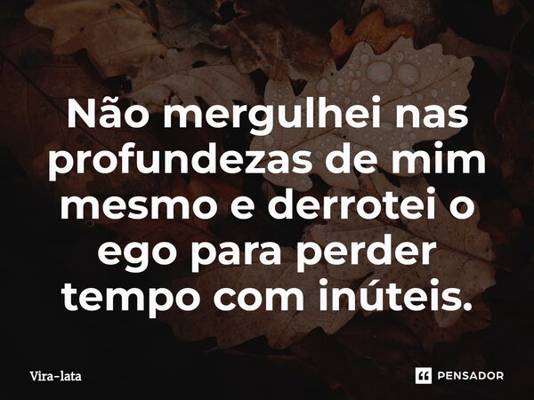 ⁠Não mergulhei nas profundezas de mim mesmo e derrotei o ego para perder tempo com inúteis.... Frase de Vira-lata.