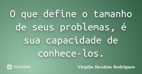 O que define o tamanho de seus problemas, é sua capacidade de conhece-los.... Frase de Virgílio Ibrahim Rodrigues.