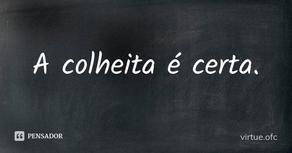 A colheita é certa.... Frase de virtue.ofc.