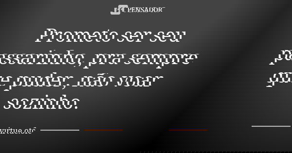 Prometo ser seu passarinho, pra sempre que puder, não voar sozinho.... Frase de virtue.ofc.