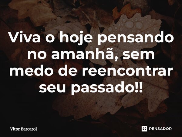 ⁠Viva o hoje pensando no amanhã, sem medo de reencontrar seu passado!!... Frase de Vitor Barcarol.