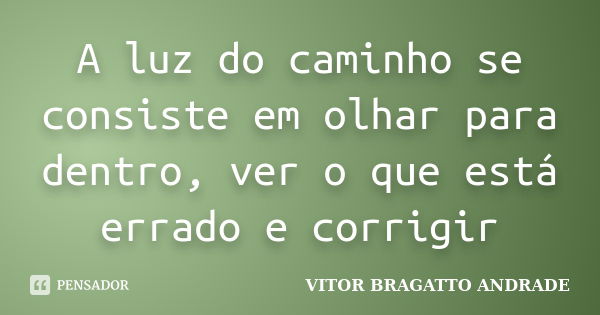 A luz do caminho se consiste em olhar para dentro, ver o que está errado e corrigir... Frase de VITOR BRAGATTO ANDRADE.