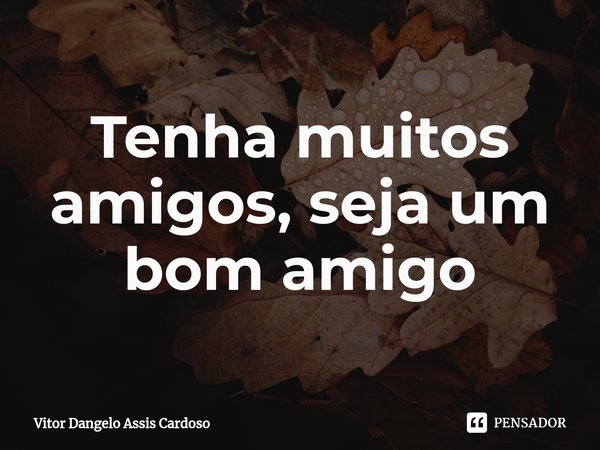 ⁠Tenha muitos amigos, seja um bom amigo... Frase de Vitor Dangelo Assis Cardoso.
