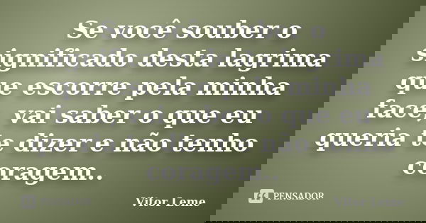 Se você souber o significado desta lagrima que escorre pela minha face, vai saber o que eu queria te dizer e não tenho coragem..... Frase de Vitor Leme.