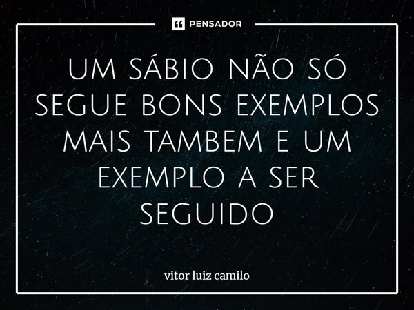 ⁠um sábio não só segue bons exemplos mais também e um exemplo a ser seguido... Frase de vitor luiz camilo.