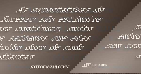 As expectativas de Sucesso são estímulos para continuar, muito embora saibamos que elas sem trabalho duro de nada adiantam... Frase de Vitor Marques.