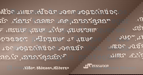 Mas uma Rosa sem espinhos, não terá como se proteger dos maus que lhe querem ver perecer. Porque o que mas são os espinhos senão uma singela proteção?... Frase de Vitor Moraes Bizerra.