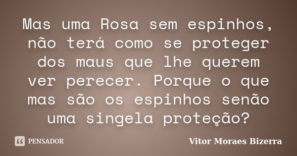 Mas uma Rosa sem espinhos, não terá como se proteger dos maus que lhe querem ver perecer. Porque o que mas são os espinhos senão uma singela proteção?... Frase de Vitor Moraes Bizerra.