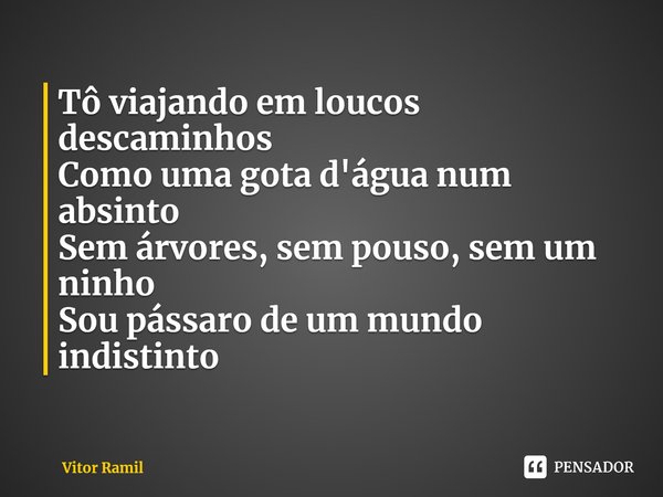 ⁠Tô viajando em loucos descaminhos
Como uma gota d'água num absinto
Sem árvores, sem pouso, sem um ninho
Sou pássaro de um mundo indistinto... Frase de Vitor Ramil.