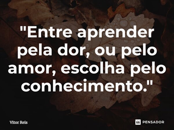 ⁠"Entre aprender pela dor, ou pelo amor, escolha pelo conhecimento."... Frase de Vitor Reis.