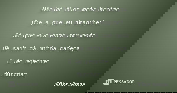 Não há flor mais bonita Que a que eu imaginei Só que ela está com medo De sair da minha cabeça E de repente Murchar... Frase de Vitor Souza.