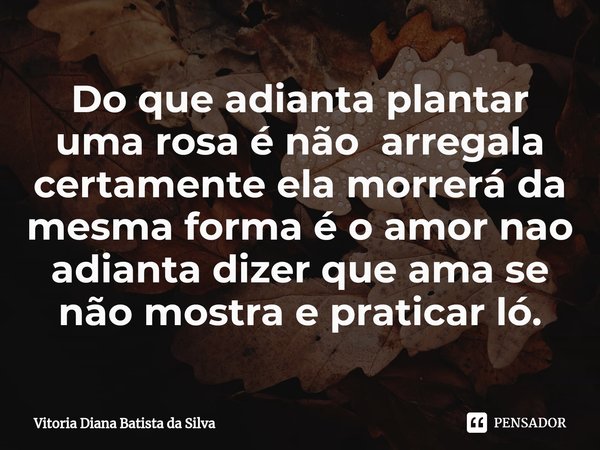 Do que adianta plantar uma rosa é não arregala ⁠certamente ela morrerá da mesma forma é o amor nao adianta dizer que ama se não mostra e praticar ló.... Frase de Vitoria Diana Batista da Silva.
