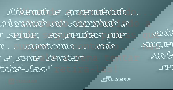 Vivendo e aprendendo... chorando ou sorrindo a vida segue, as pedras que surgem... contorno... não vale a pena tentar retirá-las!