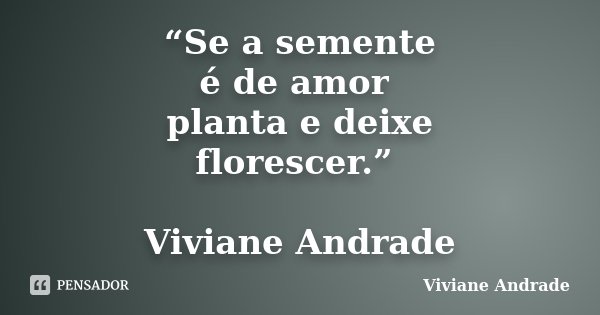 “Se a semente é de amor planta e deixe florescer.” Viviane Andrade... Frase de Viviane Andrade.