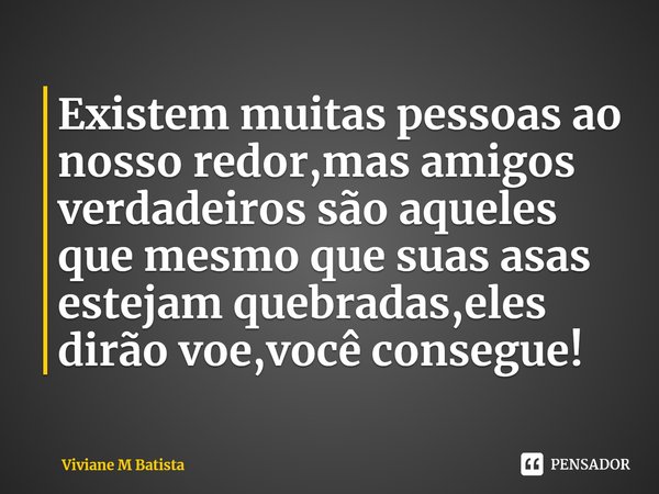 ⁠⁠Existem muitas pessoas ao nosso redor,mas amigos verdadeiros são aqueles que mesmo que suas asas estejam quebradas,eles dirão voe,você consegue!... Frase de Viviane M Batista.