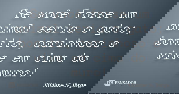 Se você fosse um animal seria o gato; bonito, carinhoso e vive em cima do muro!... Frase de Viviane S. Jorge.