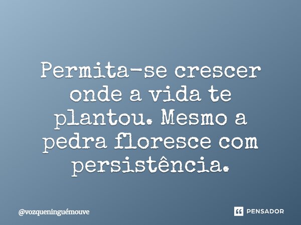 ⁠ Permita-se crescer onde a vida te plantou. Mesmo a pedra floresce com persistência.... Frase de vozqueninguémouve.