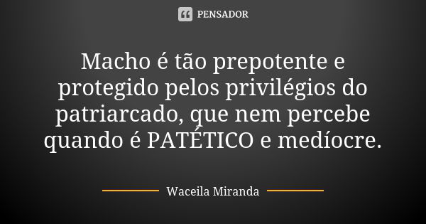 Macho é tão prepotente e protegido pelos privilégios do patriarcado, que nem percebe quando é PATÉTICO e medíocre.... Frase de Waceila Miranda.