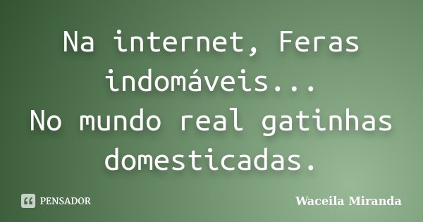 Na internet, Feras indomáveis... No mundo real gatinhas domesticadas.... Frase de Waceila Miranda.