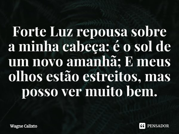 ⁠Forte Luz repousa sobre a minha cabeça: é o sol de um novo amanhã; E meus olhos estão estreitos, mas posso ver muito bem.... Frase de Wagne Calixto.