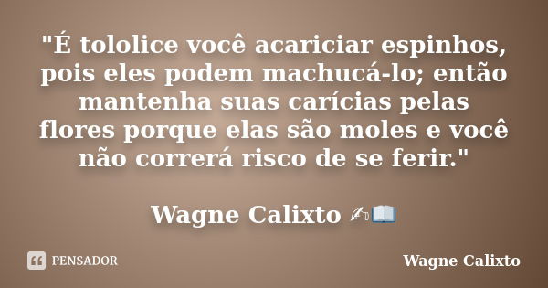 "É tololice você acariciar espinhos, pois eles podem machucá-lo; então mantenha suas carícias pelas flores porque elas são moles e você não correrá risco d... Frase de Wagne Calixto.