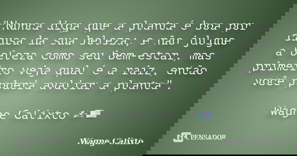 "Nunca diga que a planta é boa por causa da sua beleza; e não julgue a beleza como seu bem-estar, mas primeiro veja qual é a raiz, então você poderá avalia... Frase de Wagne Calixto.