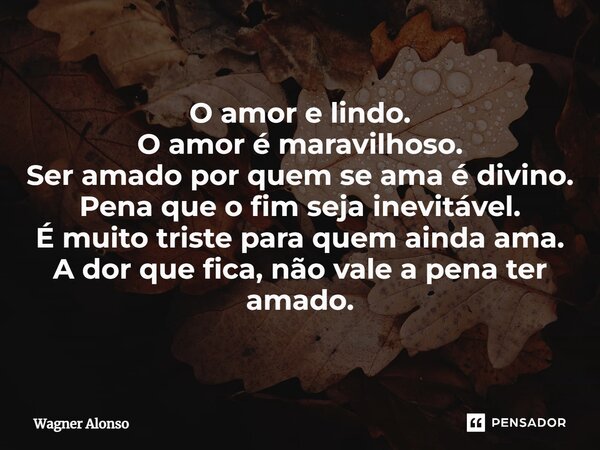 ⁠O amor e lindo. O amor é maravilhoso. Ser amado por quem se ama é divino. Pena que o fim seja inevitável. É muito triste para quem ainda ama. A dor que fica, n... Frase de Wagner Alonso.