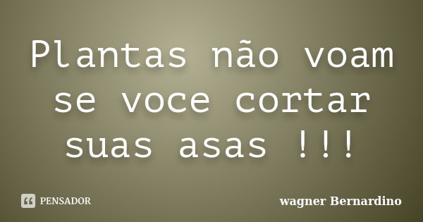 Plantas não voam se voce cortar suas asas !!!... Frase de wagner Bernardino.