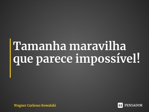 Tamanha maravilha que parece impossível!⁠... Frase de Wagner Carlesso Kowalski.