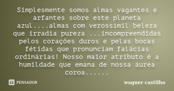 Simplesmente somos almas vagantes e arfantes sobre este planeta azul....almas com verossímil beleza que irradia pureza ...incompreendidas pelos corações duros e... Frase de Wagner Castilho.