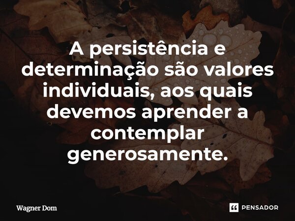 ⁠A persistência e determinação são valores individuais, aos quais devemos aprender a contemplar generosamente.... Frase de Wagner Dom.