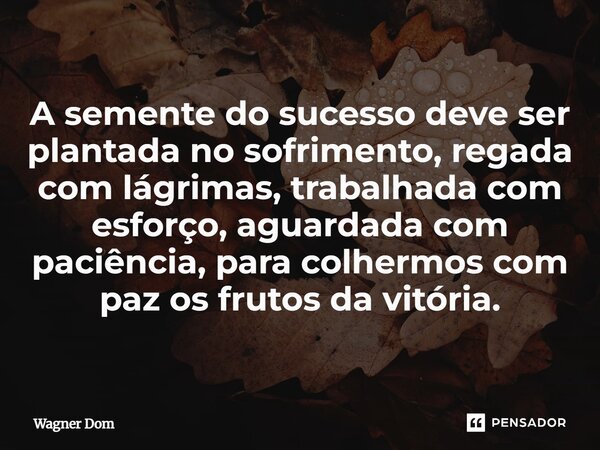⁠A semente do sucesso deve ser plantada no sofrimento, regada com lágrimas, trabalhada com esforço, aguardada com paciência, para colhermos com paz os frutos da... Frase de Wagner Dom.