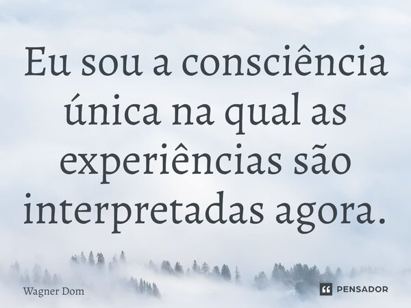 ⁠Eu sou a consciência única na qual as experiências são interpretadas agora.... Frase de Wagner Dom.