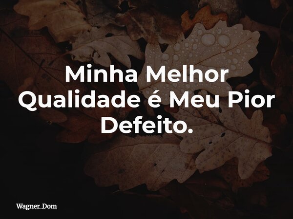 Minha Melhor Qualidade é Meu Pior Defeito.... Frase de Wagner_Dom.