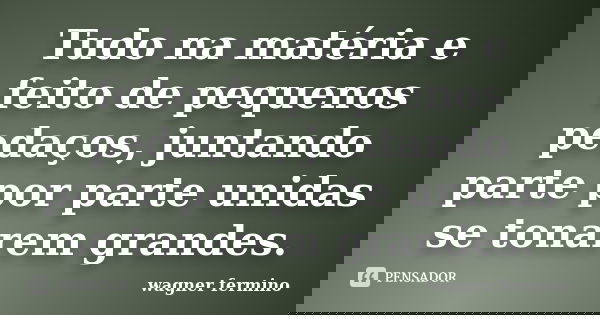 Tudo na matéria e feito de pequenos pedaços, juntando parte por parte unidas se tonarem grandes.... Frase de wagner fermino.