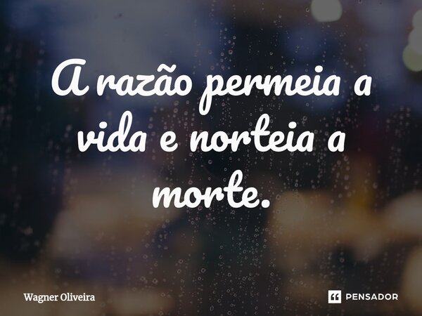 ⁠A razão permeia a vida e norteia a morte.... Frase de Wagner Oliveira.