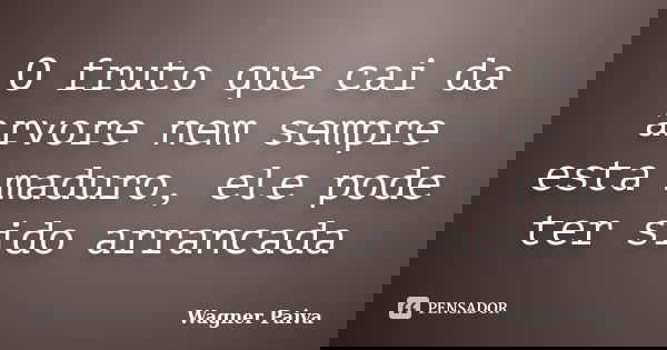 O fruto que cai da arvore nem sempre esta maduro, ele pode ter sido arrancada... Frase de Wagner Paiva.