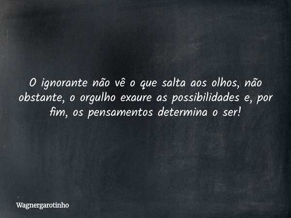 O ignorante não vê o que salta aos olhos, não obstante, o orgulho exaure as possibilidades e, por fim, os pensamentos determina o ser!... Frase de Wagnergarotinho.