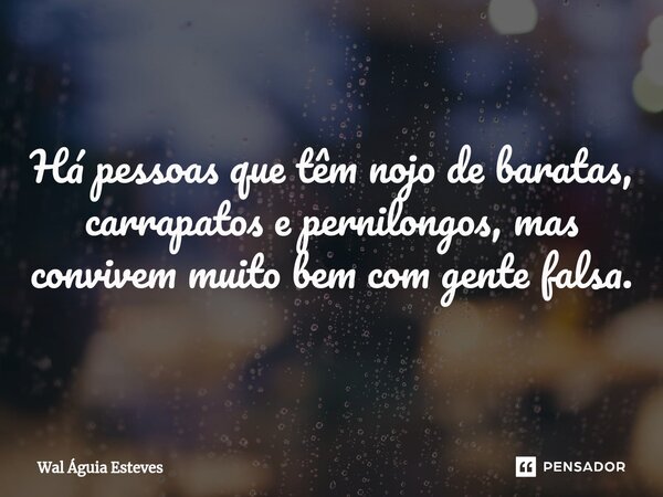 ⁠Há pessoas que têm nojo de baratas, carrapatos e pernilongos, mas convivem muito bem com gente falsa.... Frase de Wal Águia Esteves.