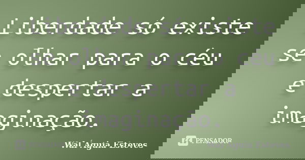 Liberdade só existe se olhar para o céu e despertar a imaginação.... Frase de Wal Águia Esteves.
