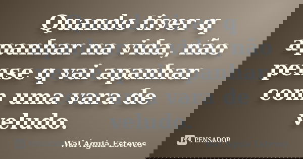 Quando tiver q apanhar na vida, não pense q vai apanhar com uma vara de veludo.... Frase de Wal Águia Esteves.