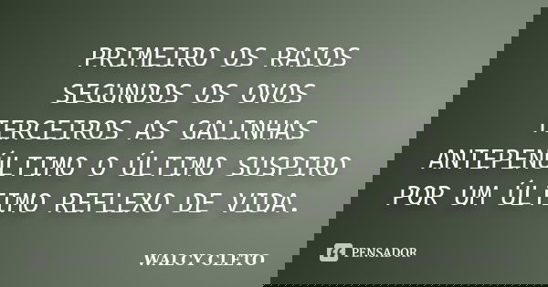 PRIMEIRO OS RAIOS SEGUNDOS OS OVOS TERCEIROS AS GALINHAS ANTEPENÚLTIMO O ÚLTIMO SUSPIRO POR UM ÚLTIMO REFLEXO DE VIDA.... Frase de WALCY CLETO.