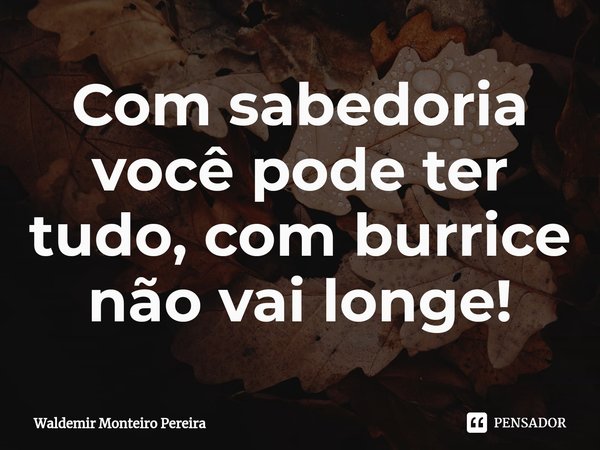 ⁠Com sabedoria você pode ter tudo, com burrice não vai longe!... Frase de Waldemir Monteiro Pereira.
