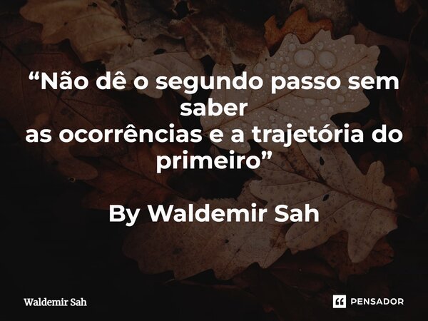 ⁠“Não dê o segundo passo sem saber as ocorrências e a trajetória do primeiro” By Waldemir Sah... Frase de Waldemir Sah.