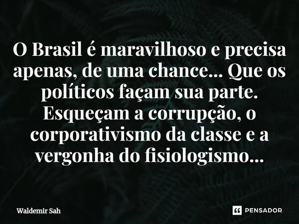 ⁠O Brasil é maravilhoso e precisa apenas, de uma chance... Que os políticos façam sua parte. Esqueçam a corrupção, o corporativismo da classe e a vergonha do fi... Frase de Waldemir Sah.
