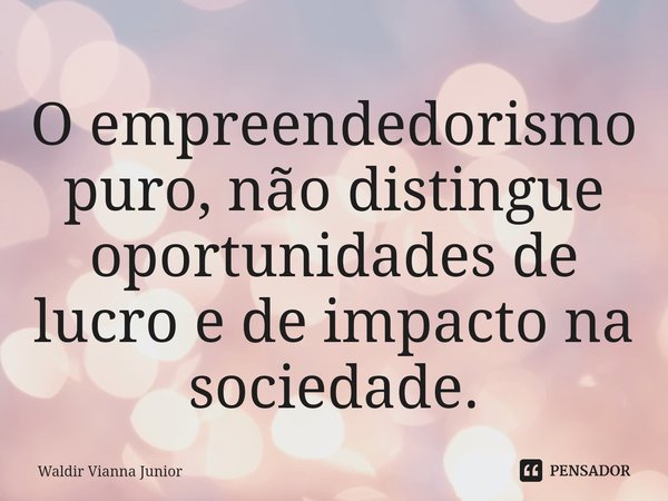 ⁠O empreendedorismo puro, não distingue oportunidades de lucro e de impacto na sociedade.... Frase de Waldir Vianna Junior.